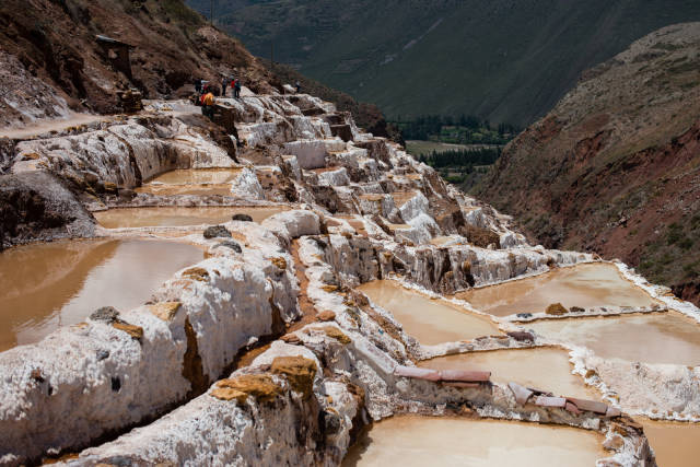 Salt Harvest at Salinas de Maras in Peru - Best Season