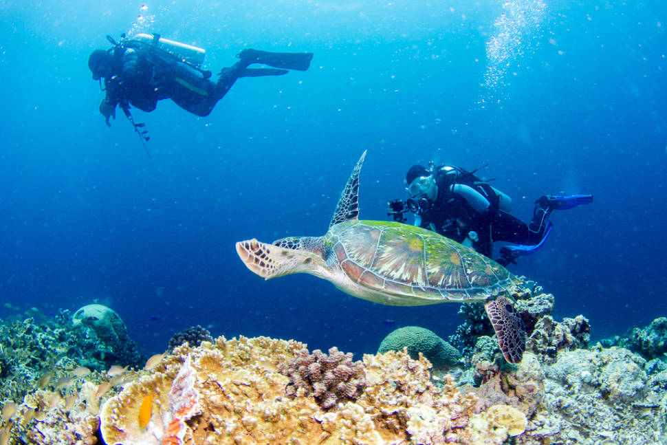 Snorkelling and Scuba Diving in Philippines - Best Season