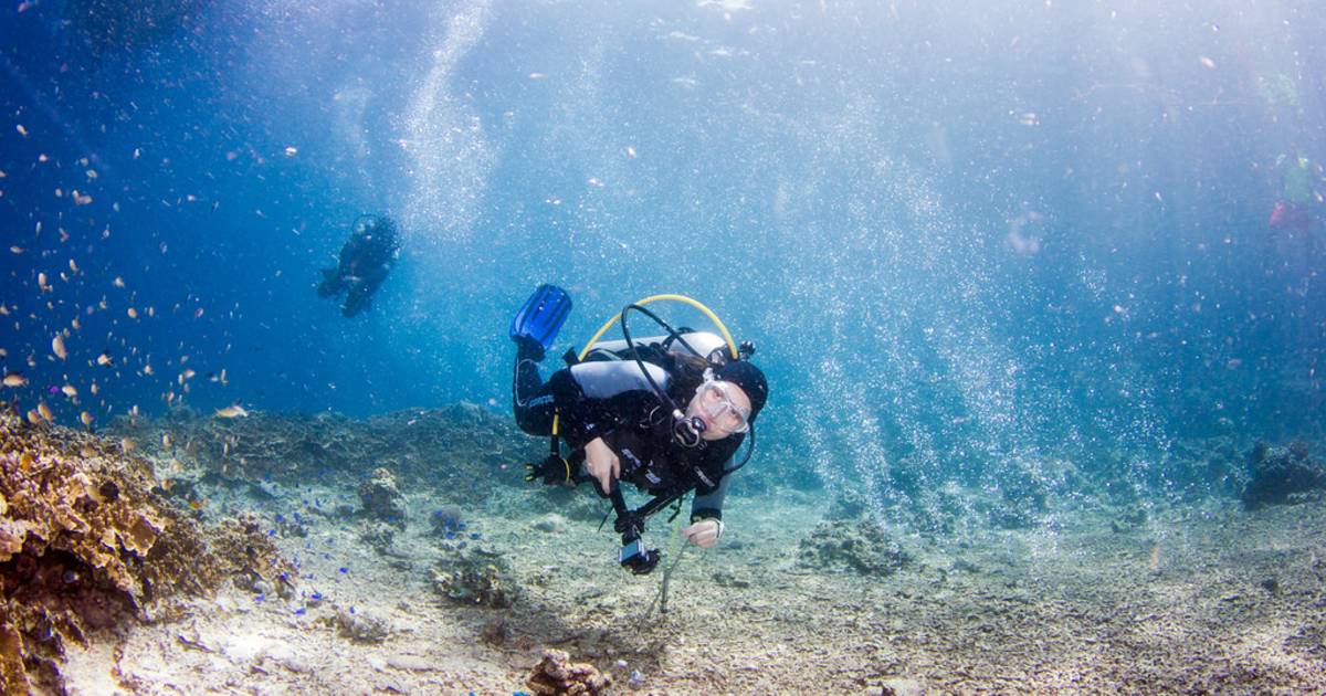 Snorkelling and Scuba Diving in Philippines - Best Time