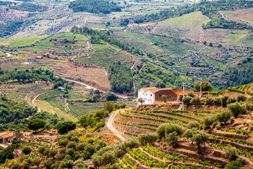 Exploring Douro Valley in Portugal - Best Time