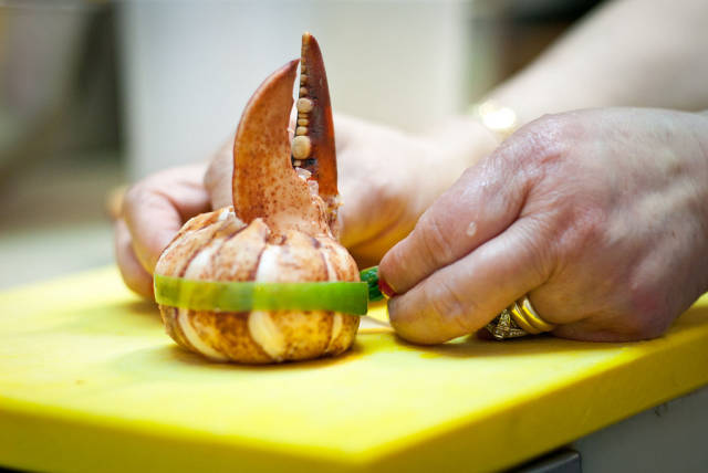 Peixe em Lisboa or Lisbon Fish & Flavours in Portugal - Best Time