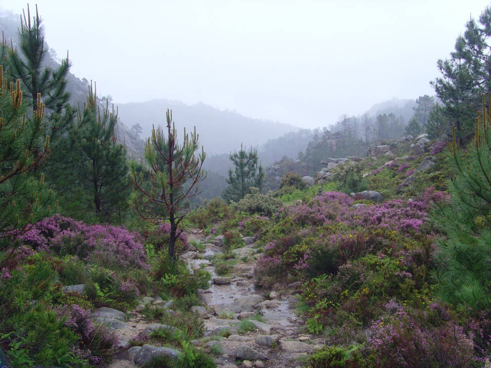 Best time for Peneda Geres National Park in Portugal