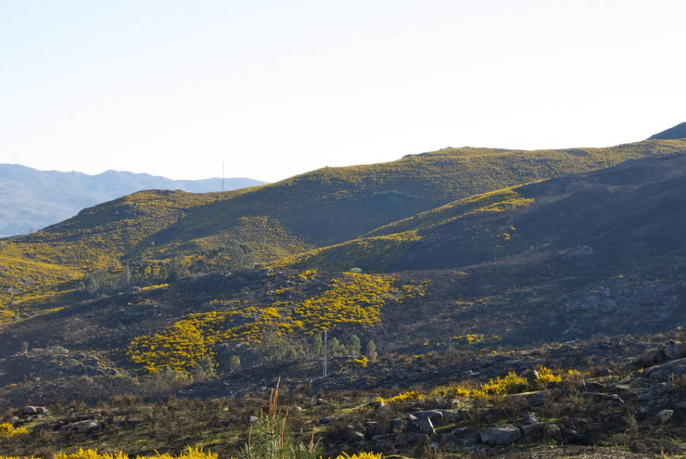 Peneda Geres National Park in Portugal - Best Season