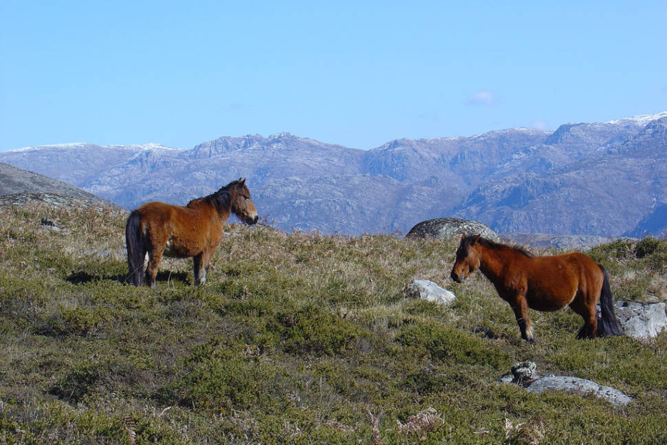 Best time to see Peneda Geres National Park in Portugal