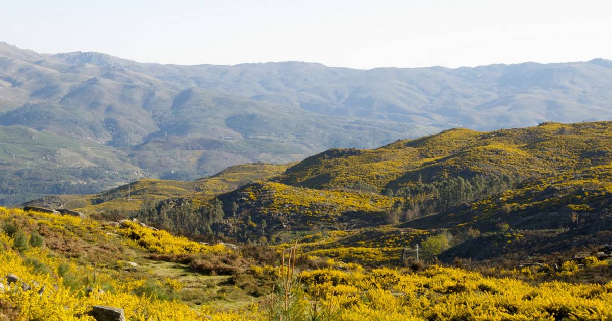 Peneda Geres National Park in Portugal - Best Time