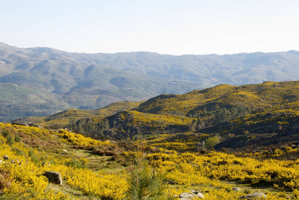 Peneda Geres National Park in Portugal - Best Time