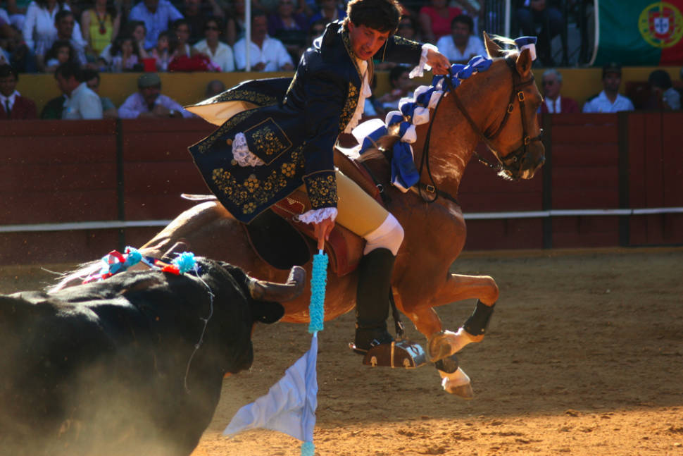 Lisbon Bullfighting in Portugal - Best Season