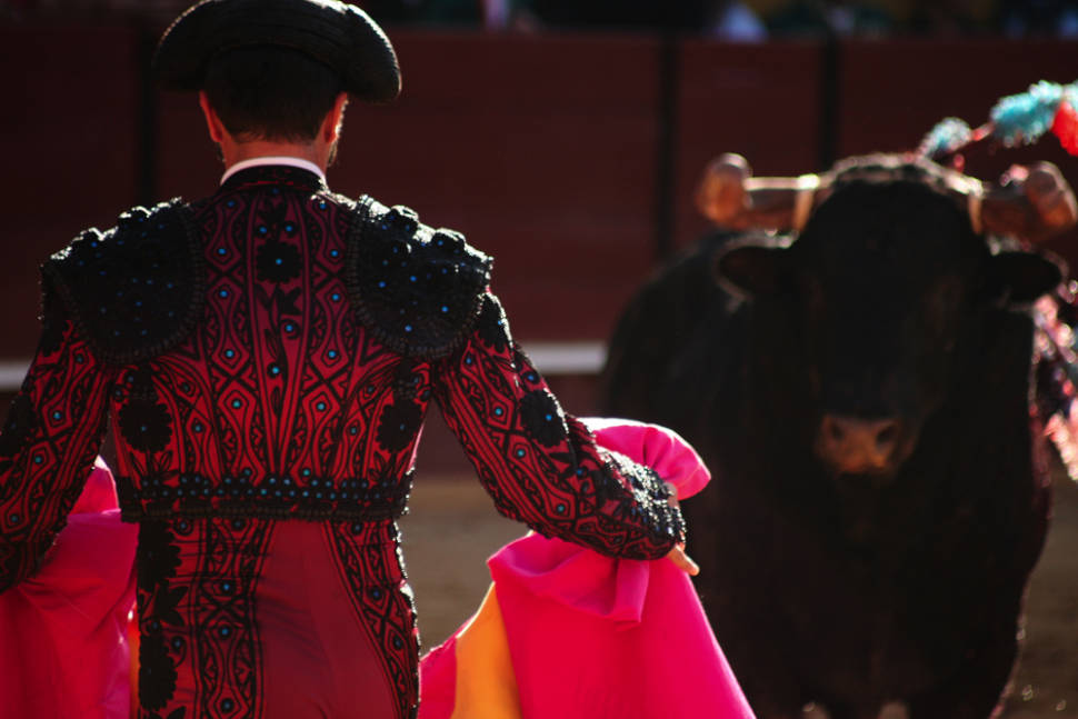 Lisbon Bullfighting in Portugal - Best Time