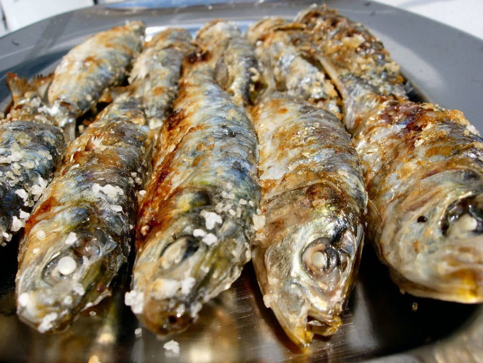 Sardines Season in Portugal - Best Season