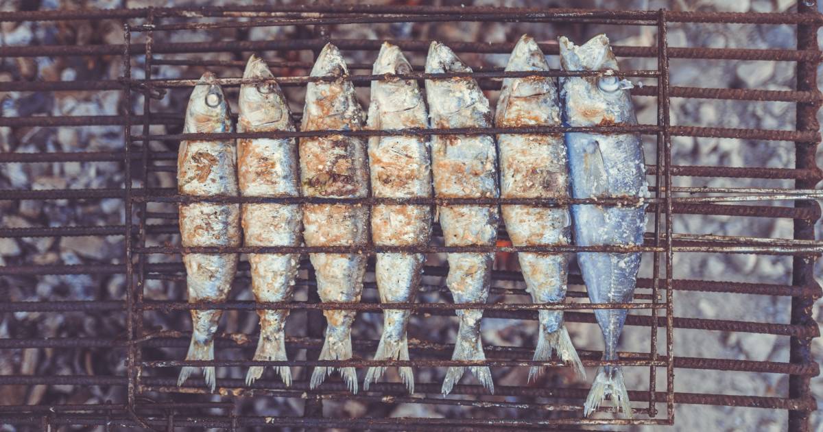 Sardines Season in Portugal - Best Time