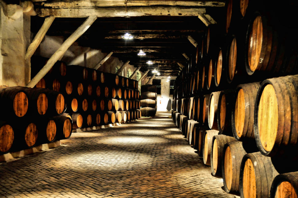 Best time for Wine Season in Portugal