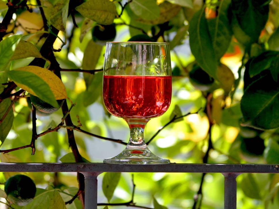 Best time for Wine Season