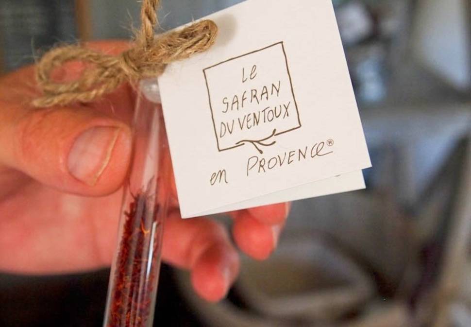 Saffron Farms in Provence & French Riviera - Best Season