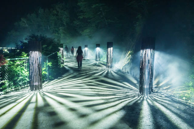 Foresta Lumina in Quebec - Best Time