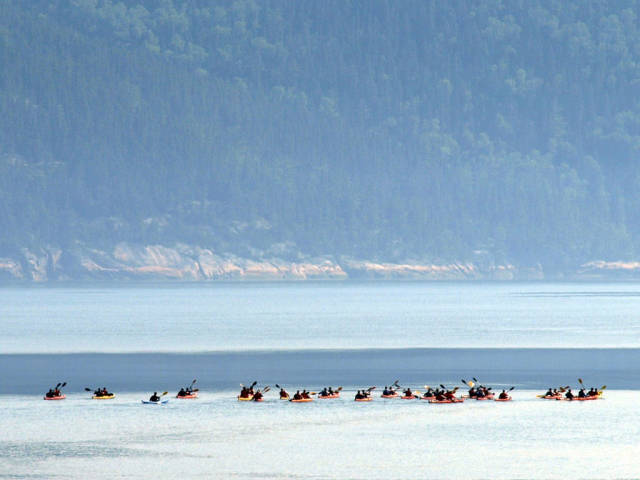 Kayaking Through Saguenay Fjord in Quebec - Best Time