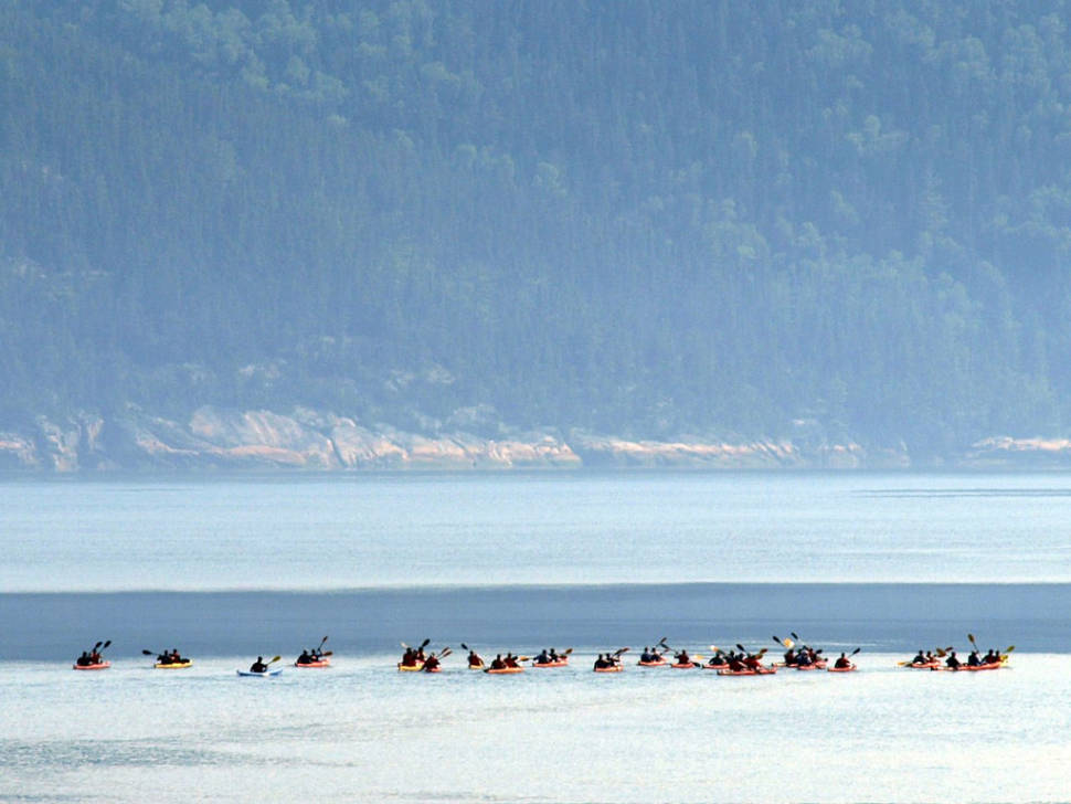 Kayaking Through Saguenay Fjord in Quebec - Best Time