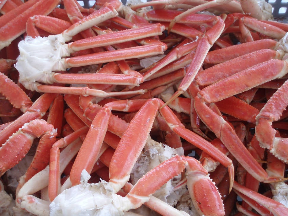 Snow Crab in Quebec - Best Time