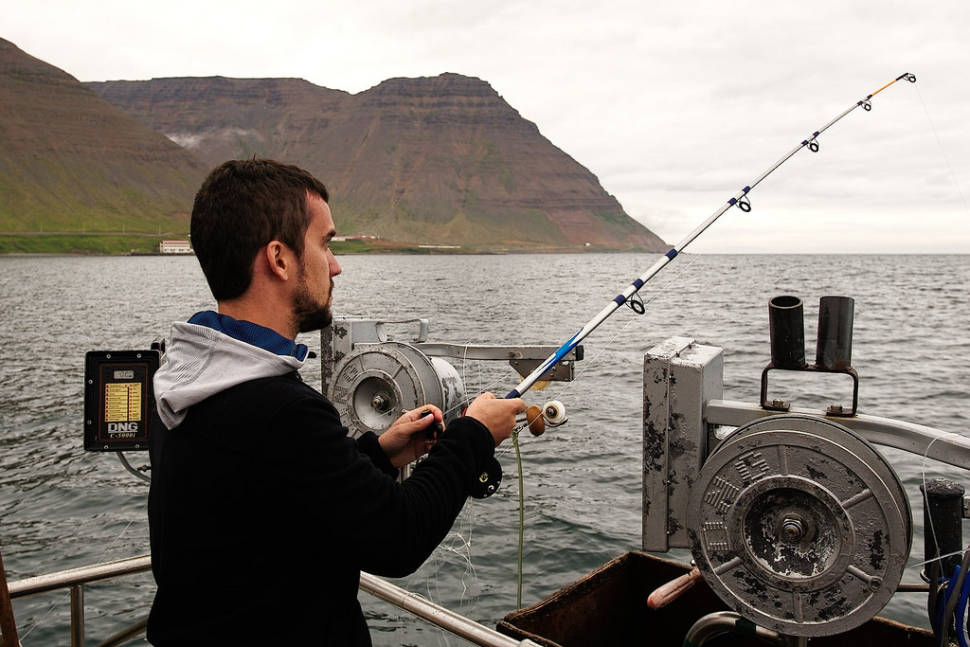 Sea Angling in Reykjavik - Best Time