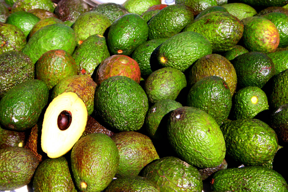 Avocado in Rio de Janeiro - Best Time
