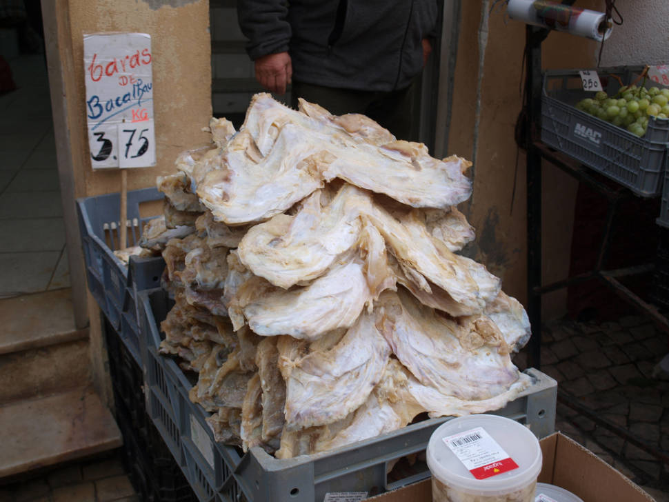Bacalhau in Rio de Janeiro - Best Time