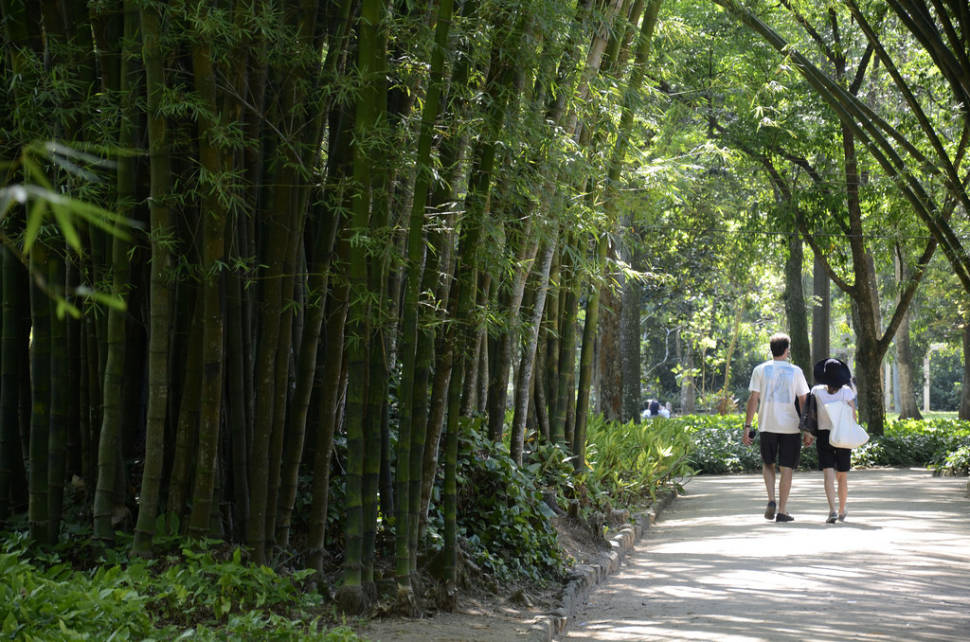 Best time for Botanical Garden or Jardim Botânico in Rio de Janeiro