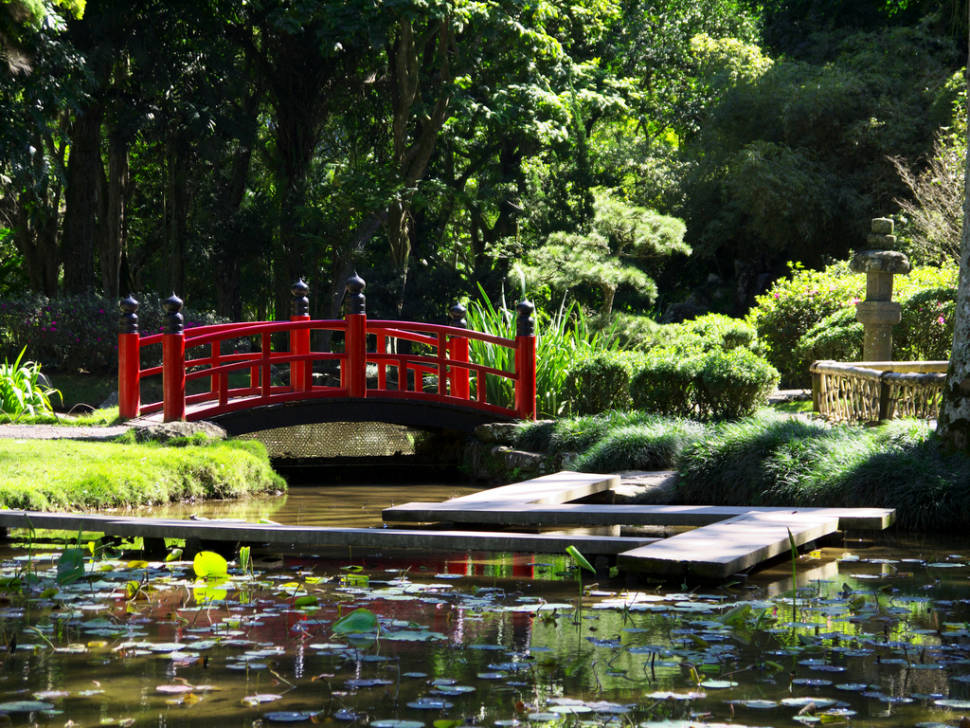 Best time to see Botanical Garden or Jardim Botânico in Rio de Janeiro