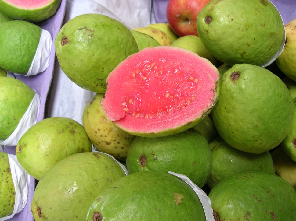 Guava or Goiaba in Rio de Janeiro - Best Season