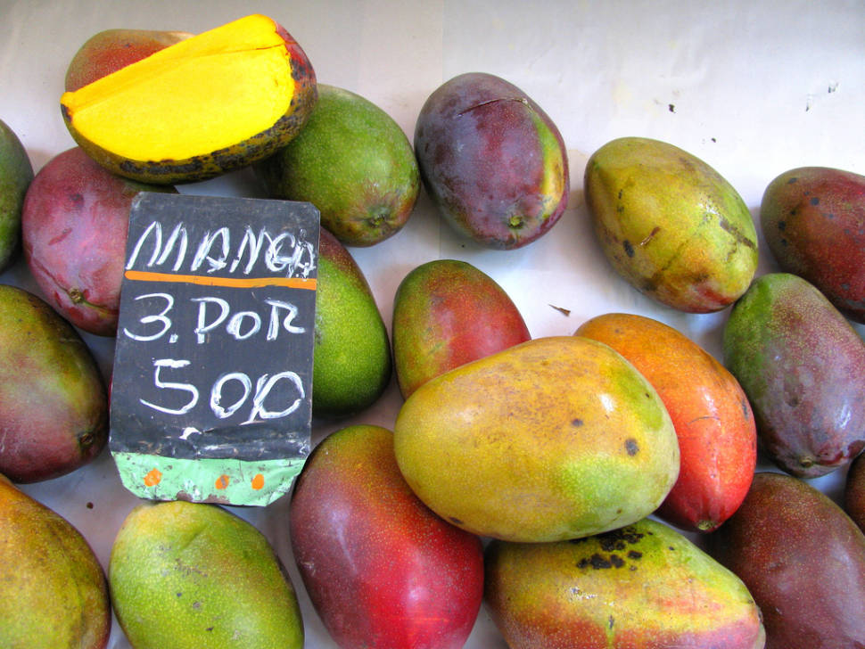 Mango in Rio de Janeiro - Best Time