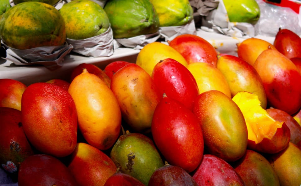 Papaya in Rio de Janeiro - Best Season