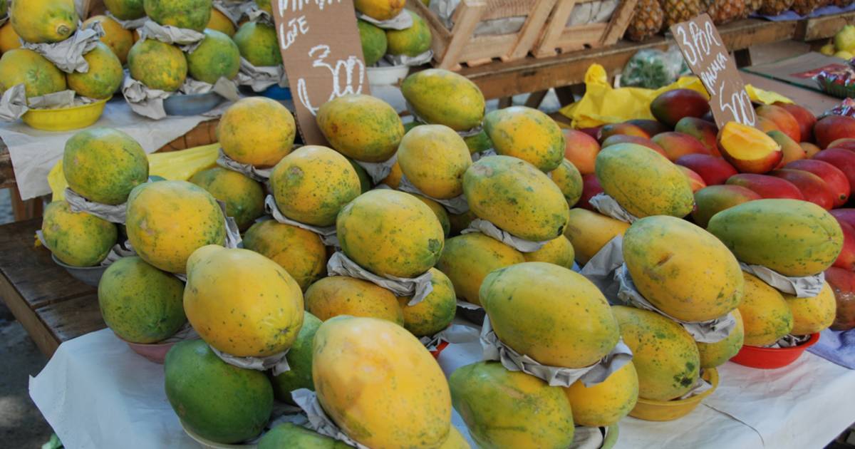 Papaya in Rio de Janeiro - Best Time