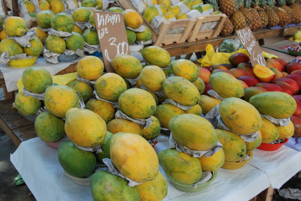 Papaya in Rio de Janeiro - Best Time