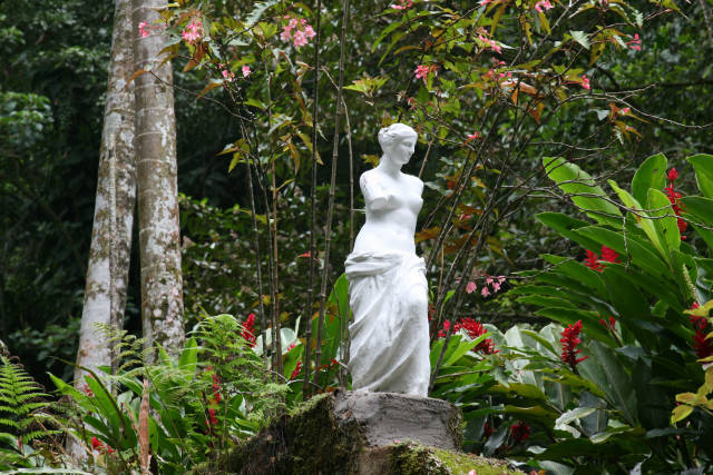 Best time for Tijuca Forest in Rio de Janeiro