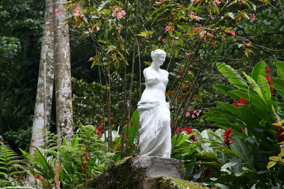 Best time for Tijuca Forest in Rio de Janeiro