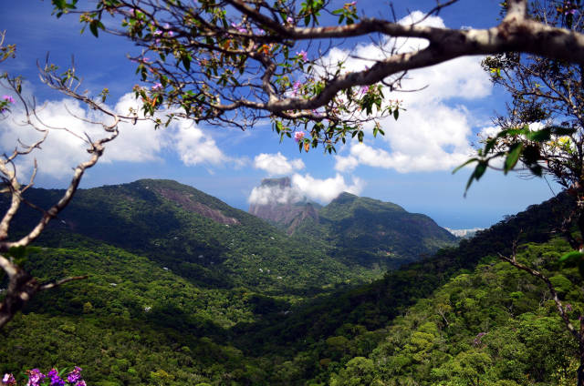 Tijuca Forest in Rio de Janeiro - Best Time