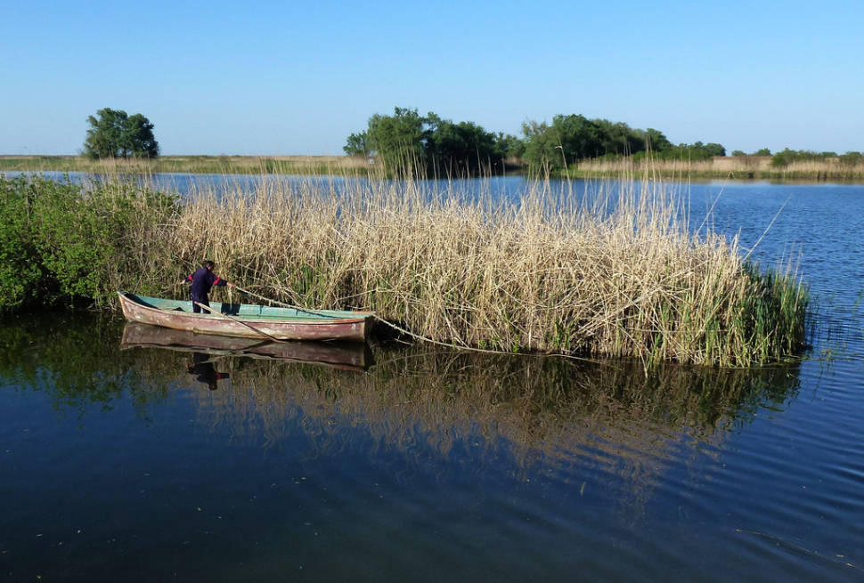 Local fisherman in the Danube Delta