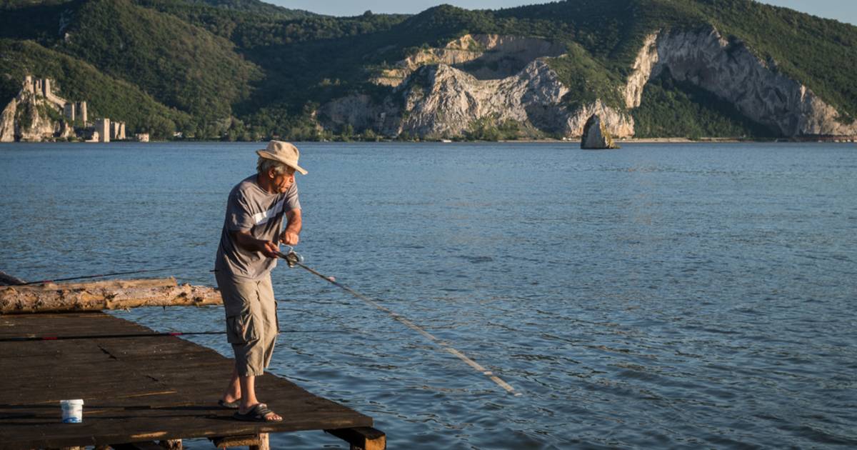 Сatfish Fishing Season in Romania - Best Time