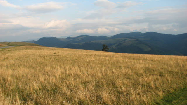 Best time for Hay Harvest in Romania
