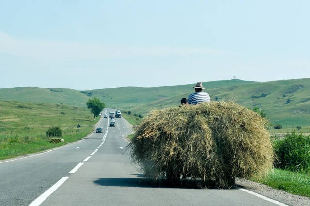 Hay Harvest in Romania - Best Season