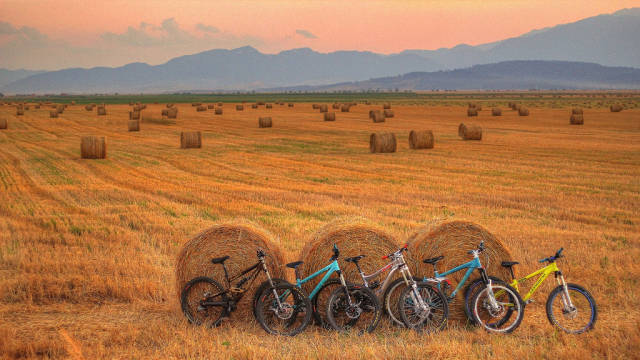 Hay Harvest in Romania - Best Time