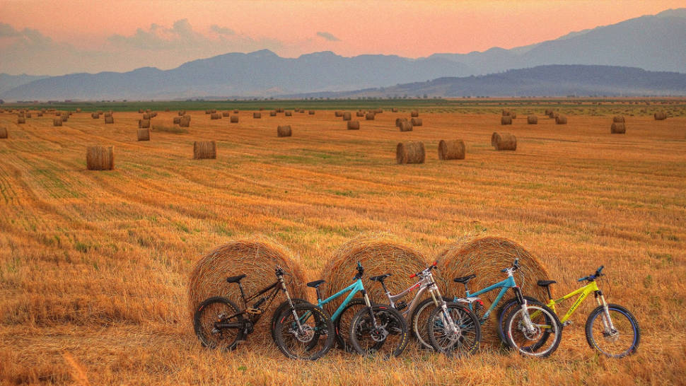 Hay Harvest in Romania - Best Time