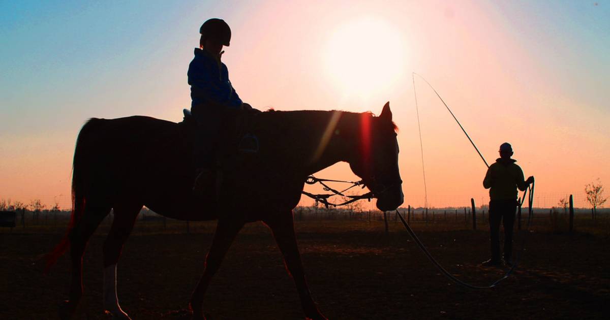 Horseback Riding in Romania - Best Time