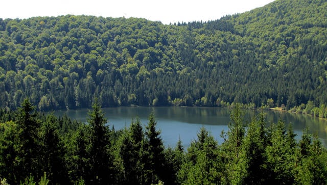Best time to see Swimming in Lake Sfânta Ana in Romania