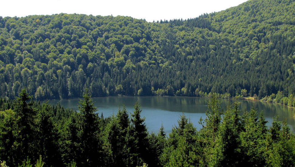 Best time to see Swimming in Lake Sfânta Ana in Romania