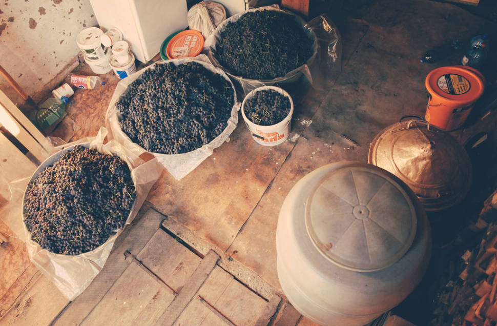 Best time to see Wine Season in Romania