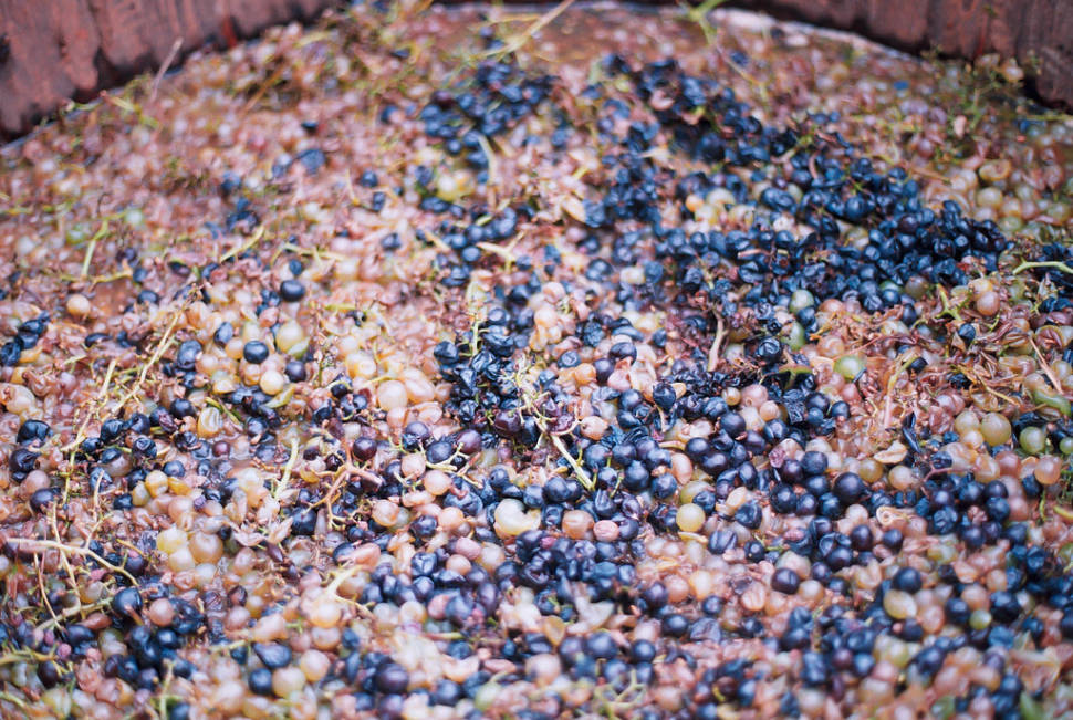 Best time for Wine Season