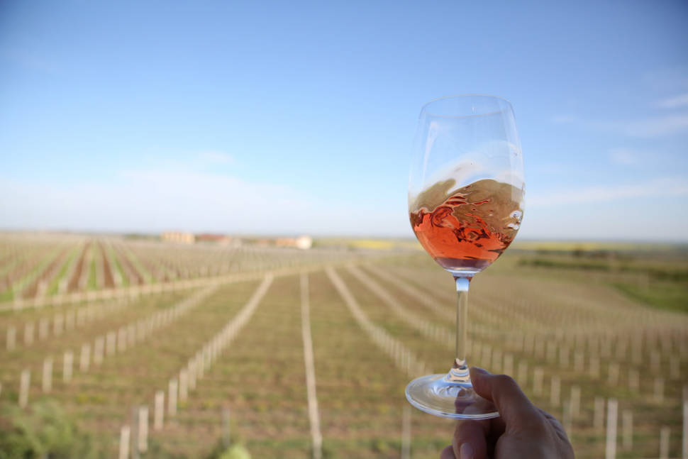 Wine Season in Romania - Best Time