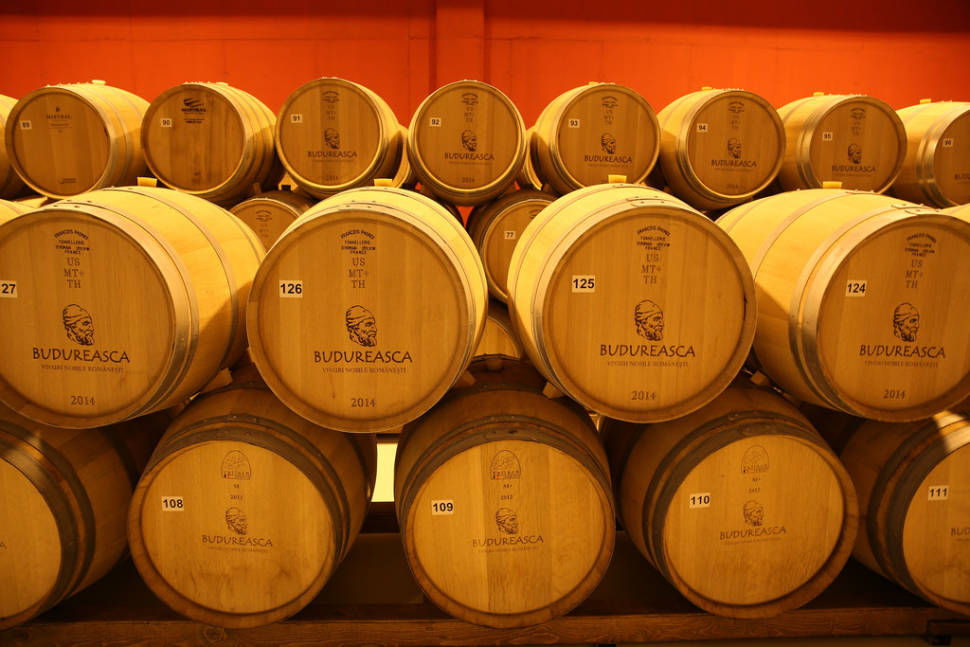 Best time to see Wine Season