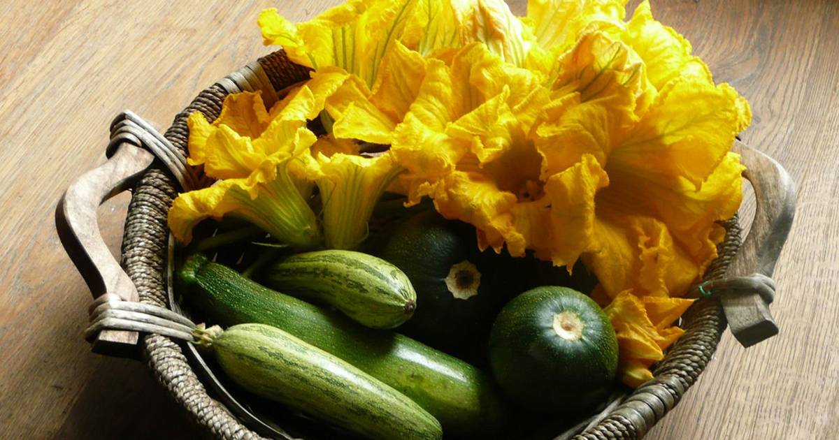 Fiori di Zucca in Rome - Best Time