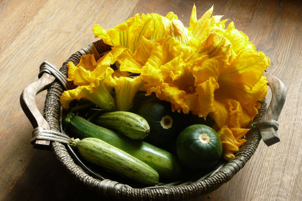 Fiori di Zucca in Rome - Best Time