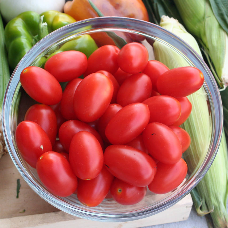Roma Tomatoes in Rome - Best Season